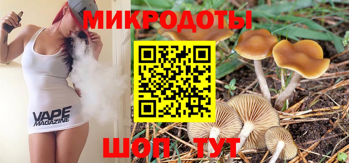 Псилоцибиновые грибы Psilocybine cubensis  Галлюциногенные грибы Psilocybe  Отрадный  Вход с VPN 