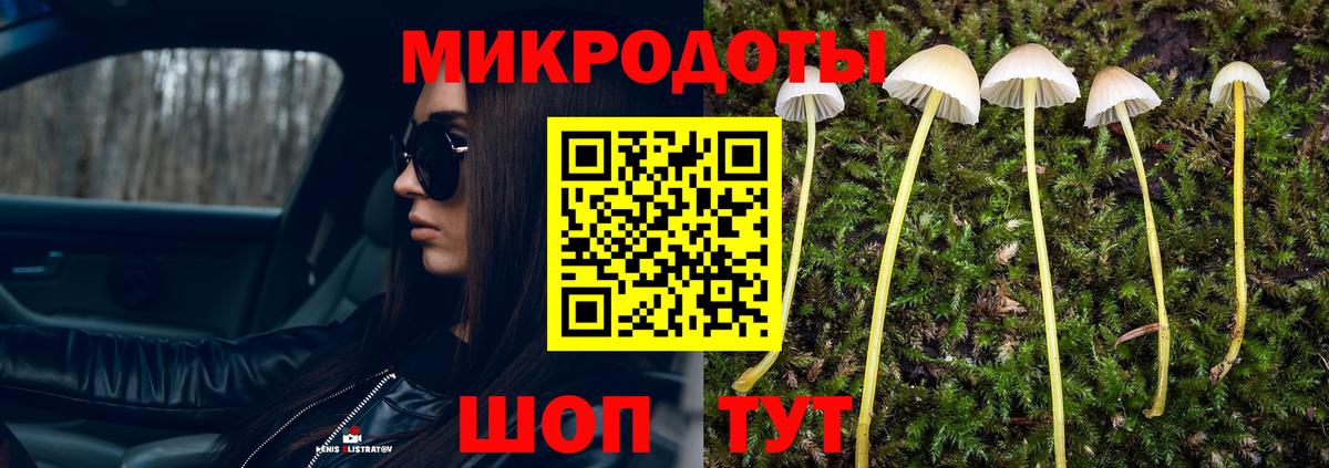 Псилоцибиновые грибы ЛСД Отрадный